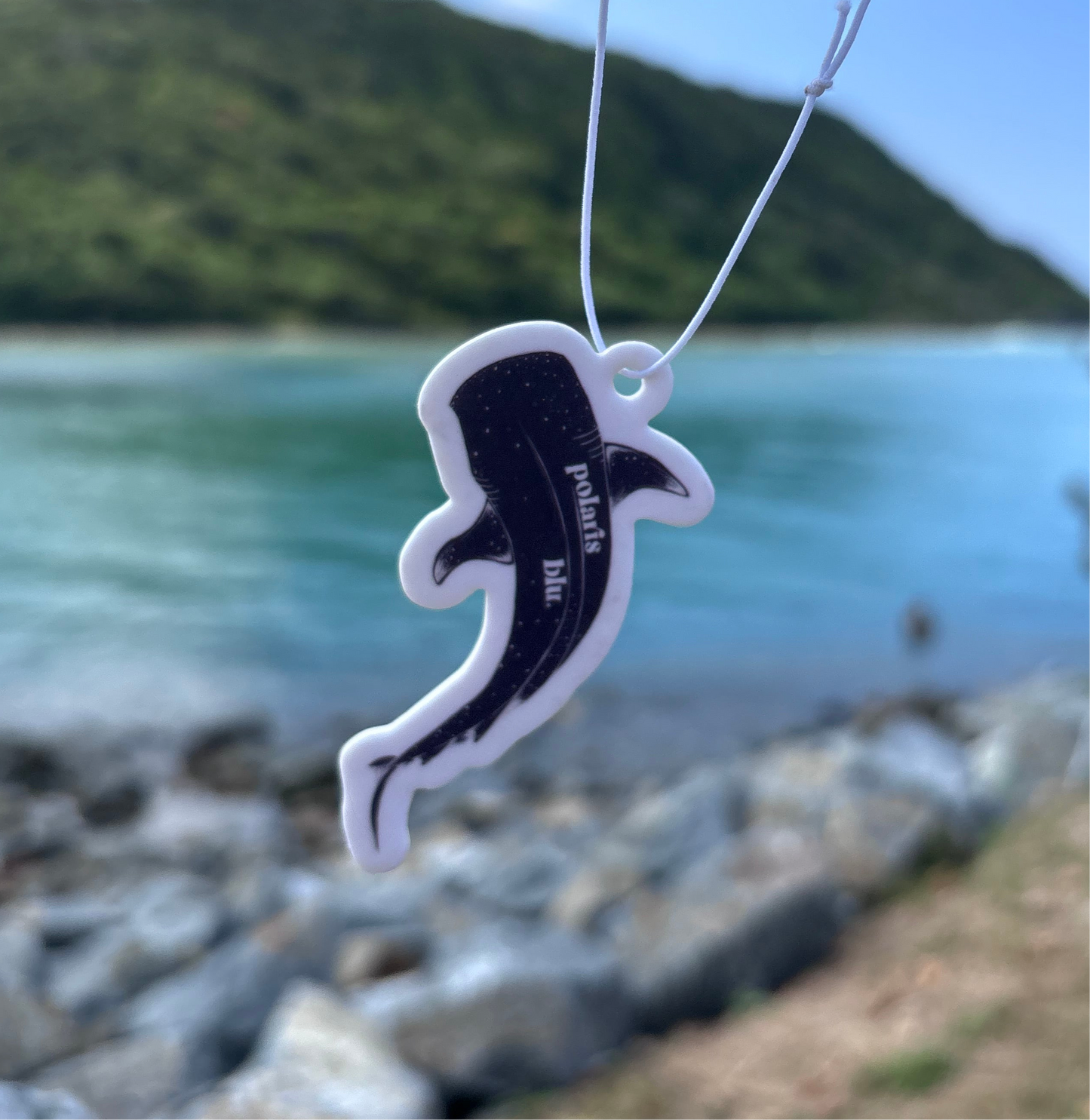 Car Fresheners