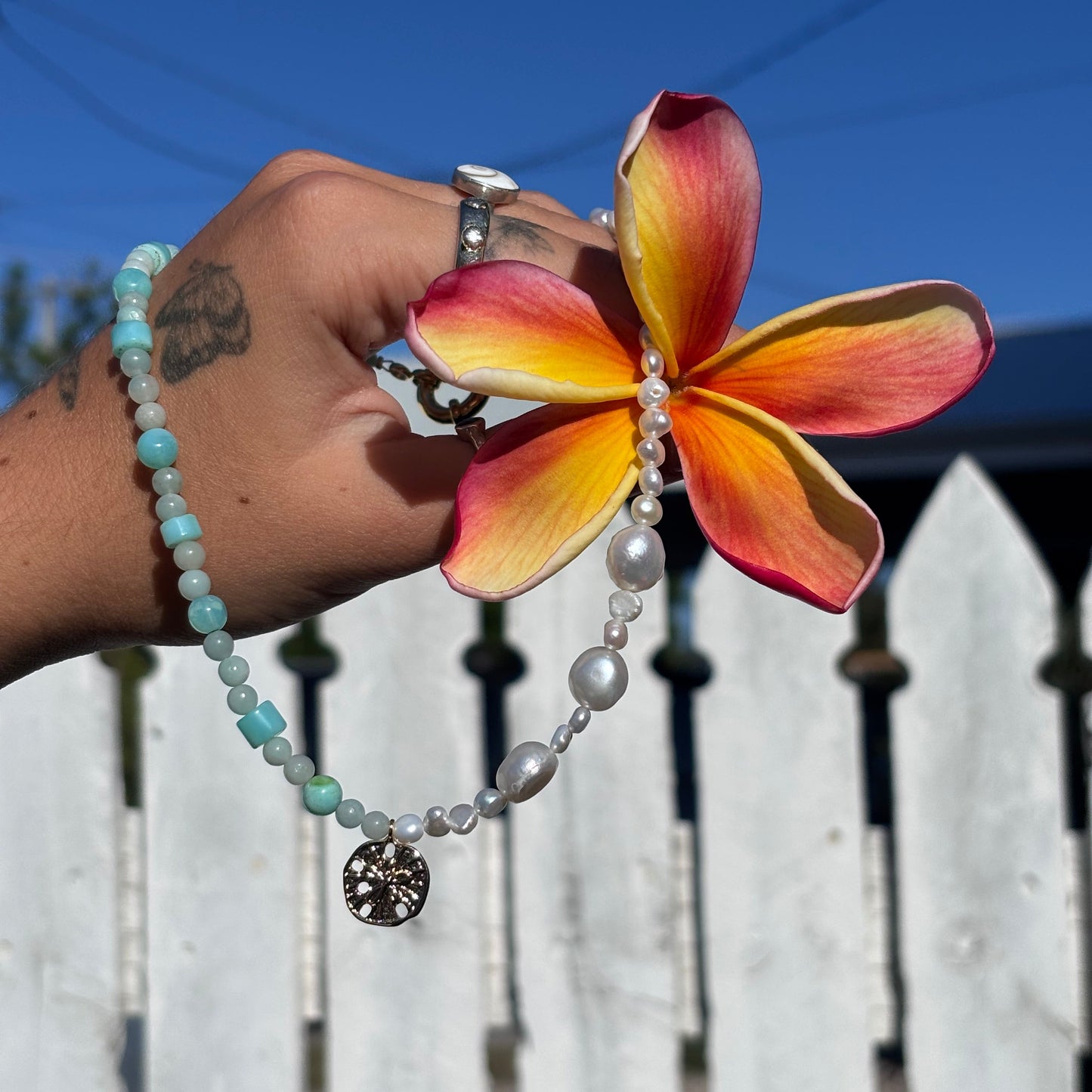 Seafoam Sand Dollar Choker