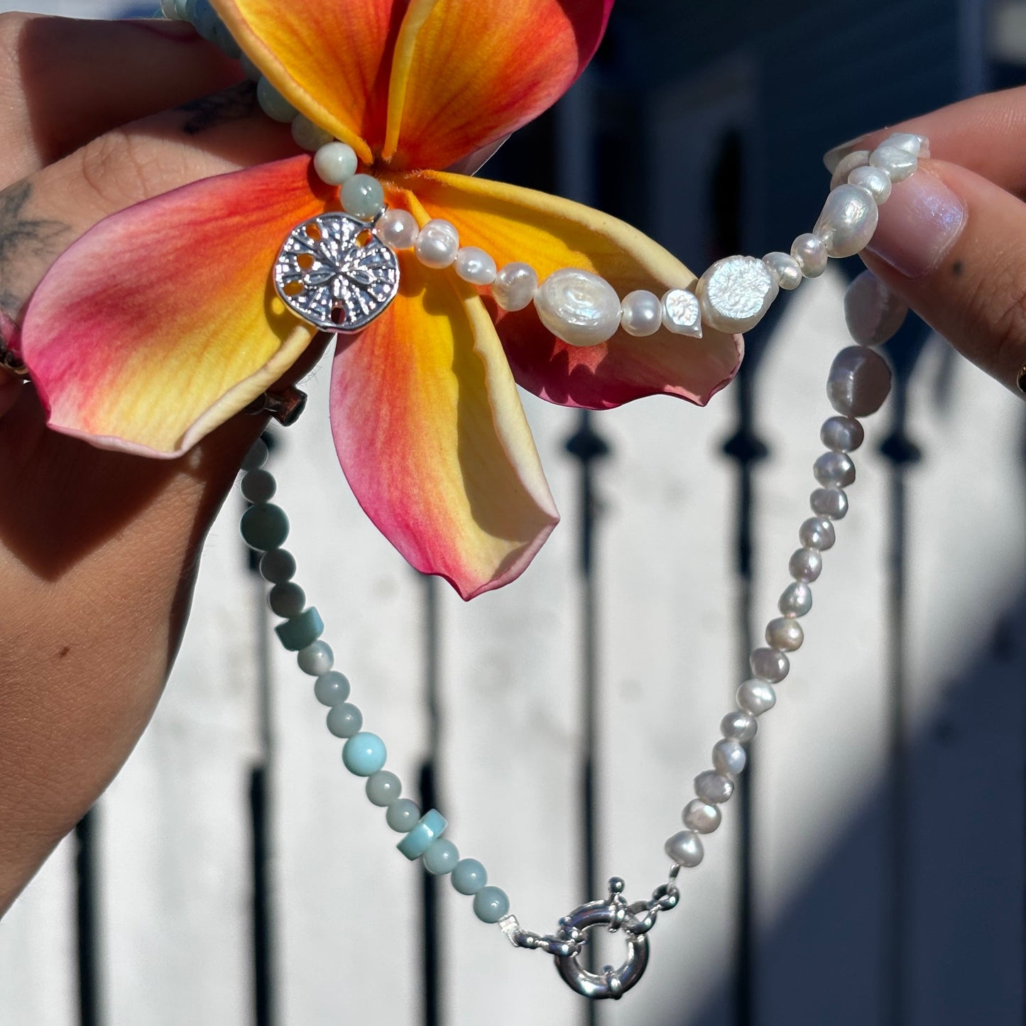 Seafoam Sand Dollar Choker