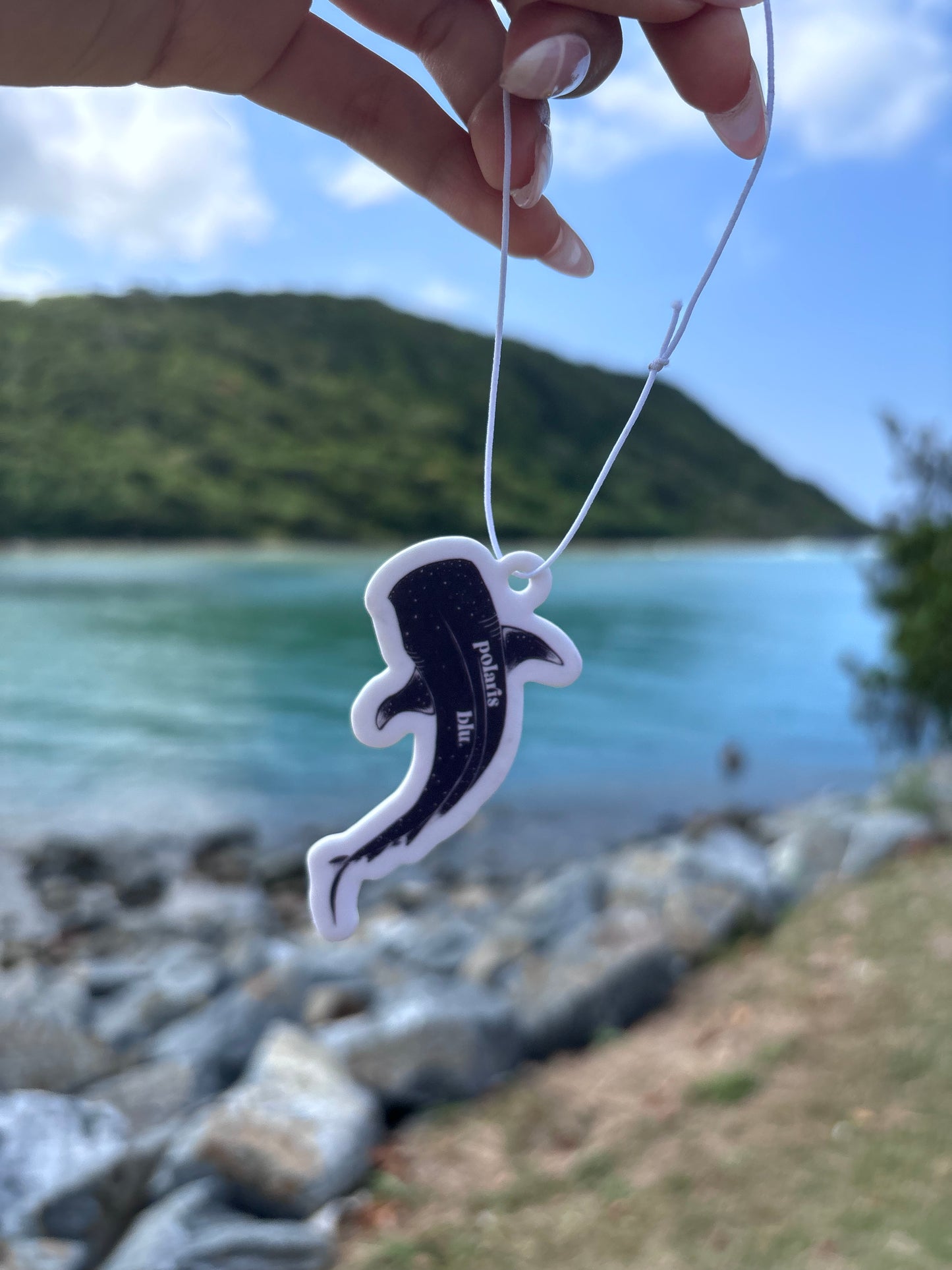 Car Fresheners
